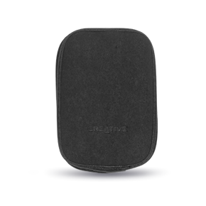 ZEN V Series Carry Case