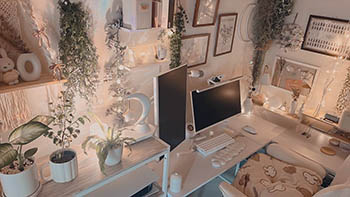 Gaming battlestation